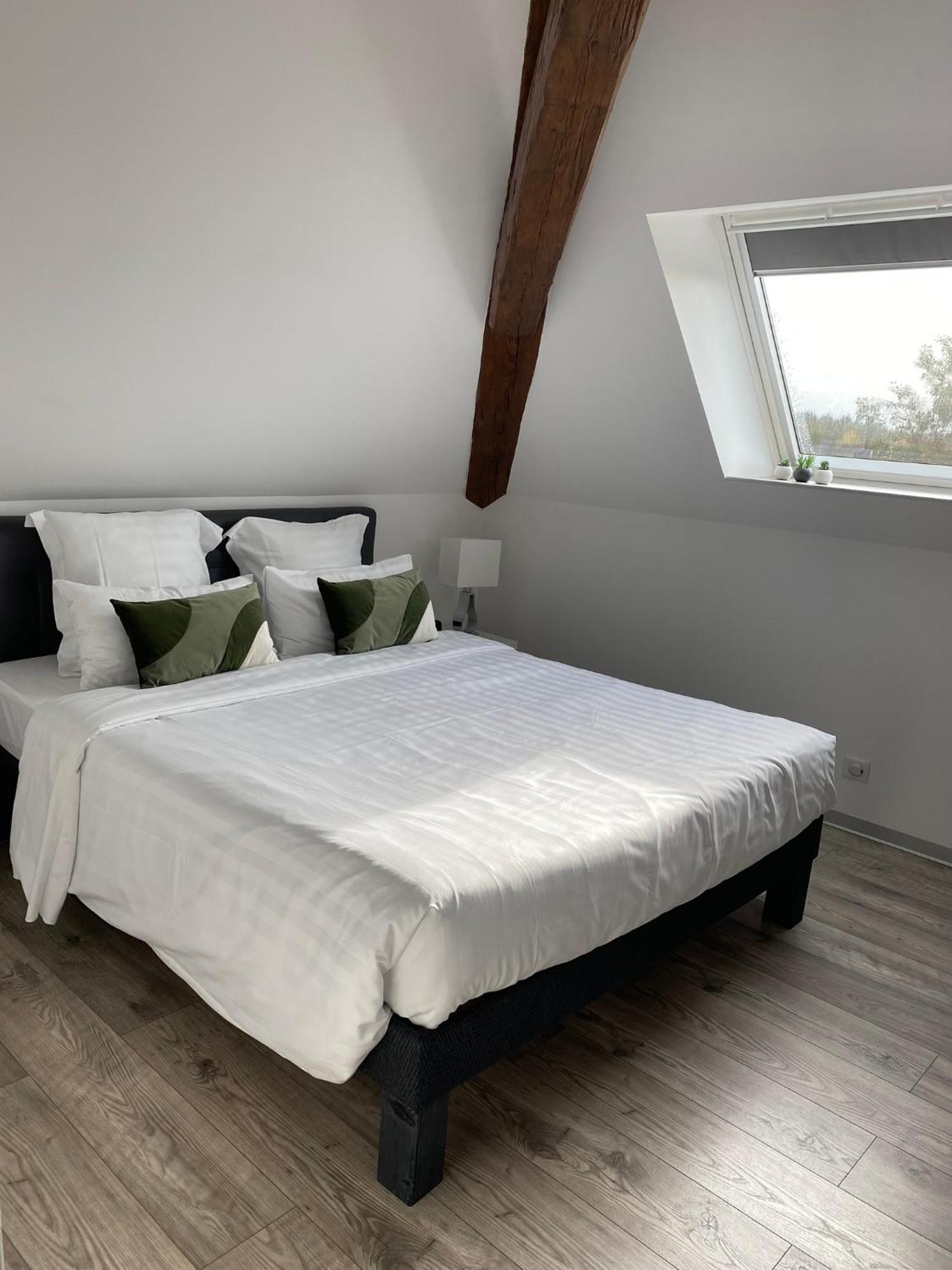 Les Rives Des Habsbourg Aparthotel Ensisheim Kültér fotó